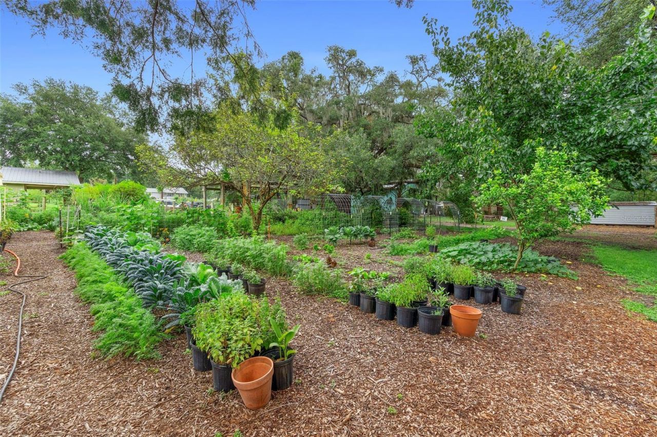 2016 Lewis Road, Leesburg, FL 34748 Photo