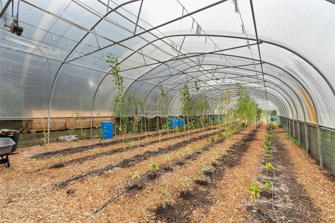 2016 Lewis Road, Leesburg, FL 34748 Photo