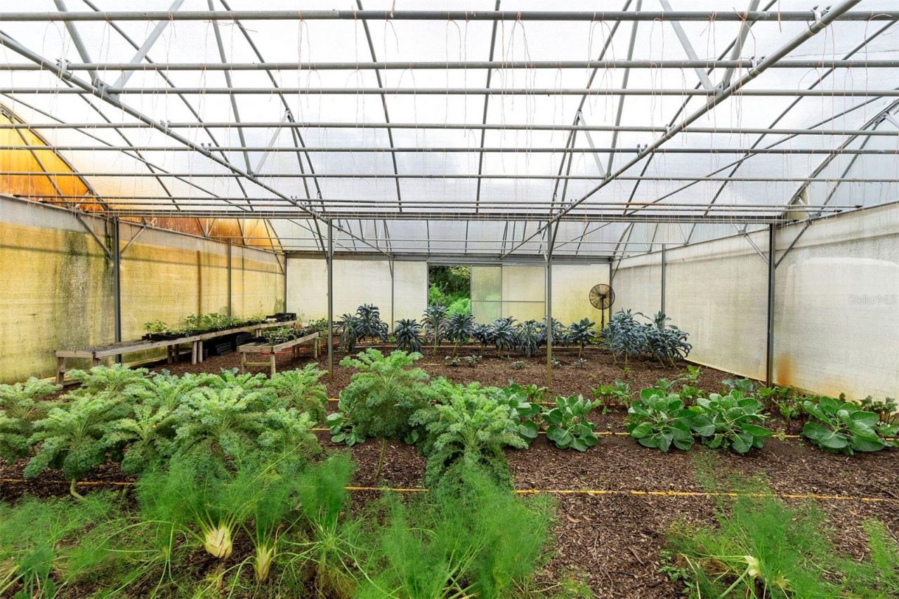 2016 Lewis Road, Leesburg, FL 34748 Photo