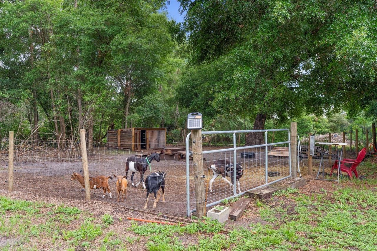 2016 Lewis Road, Leesburg, FL 34748 Photo