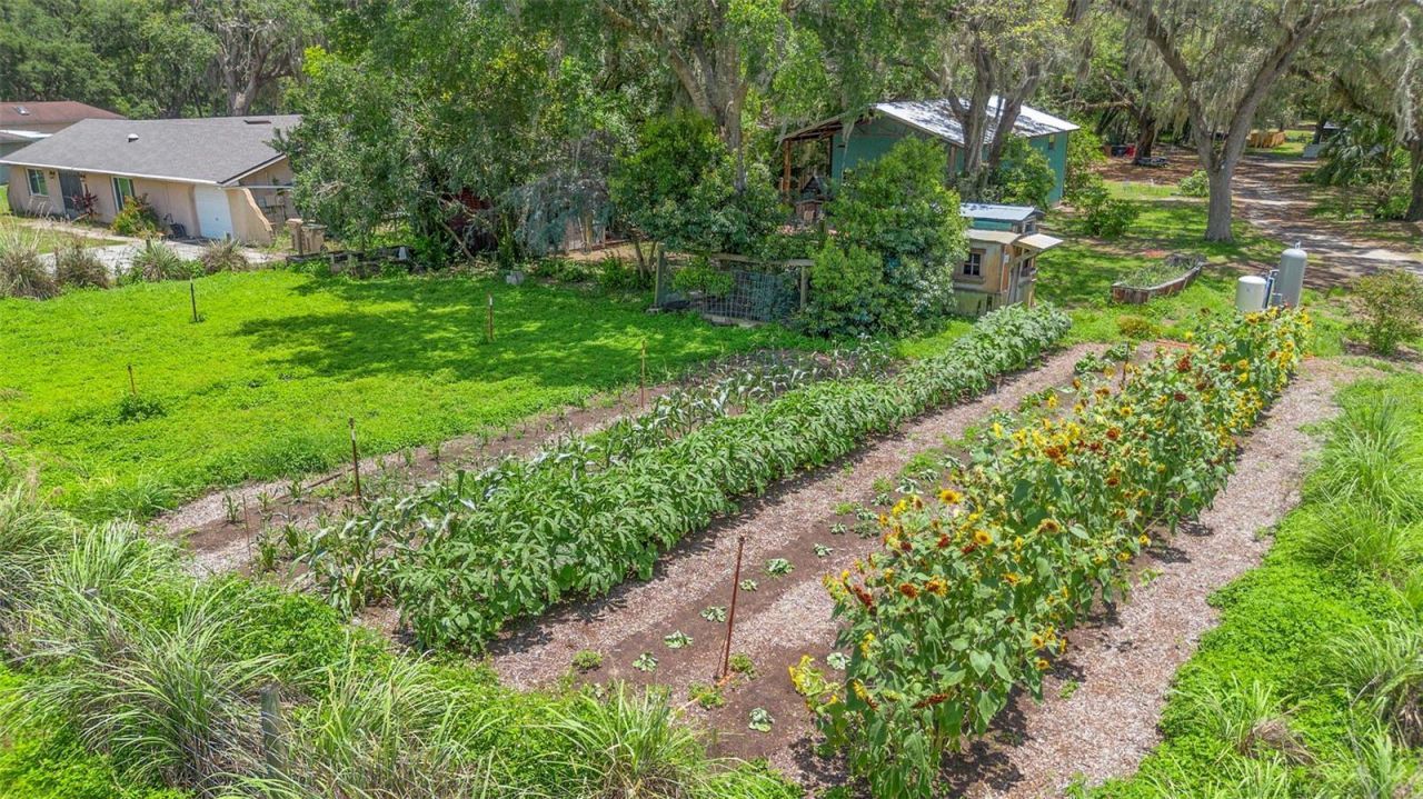 2016 Lewis Road, Leesburg, FL 34748 Photo