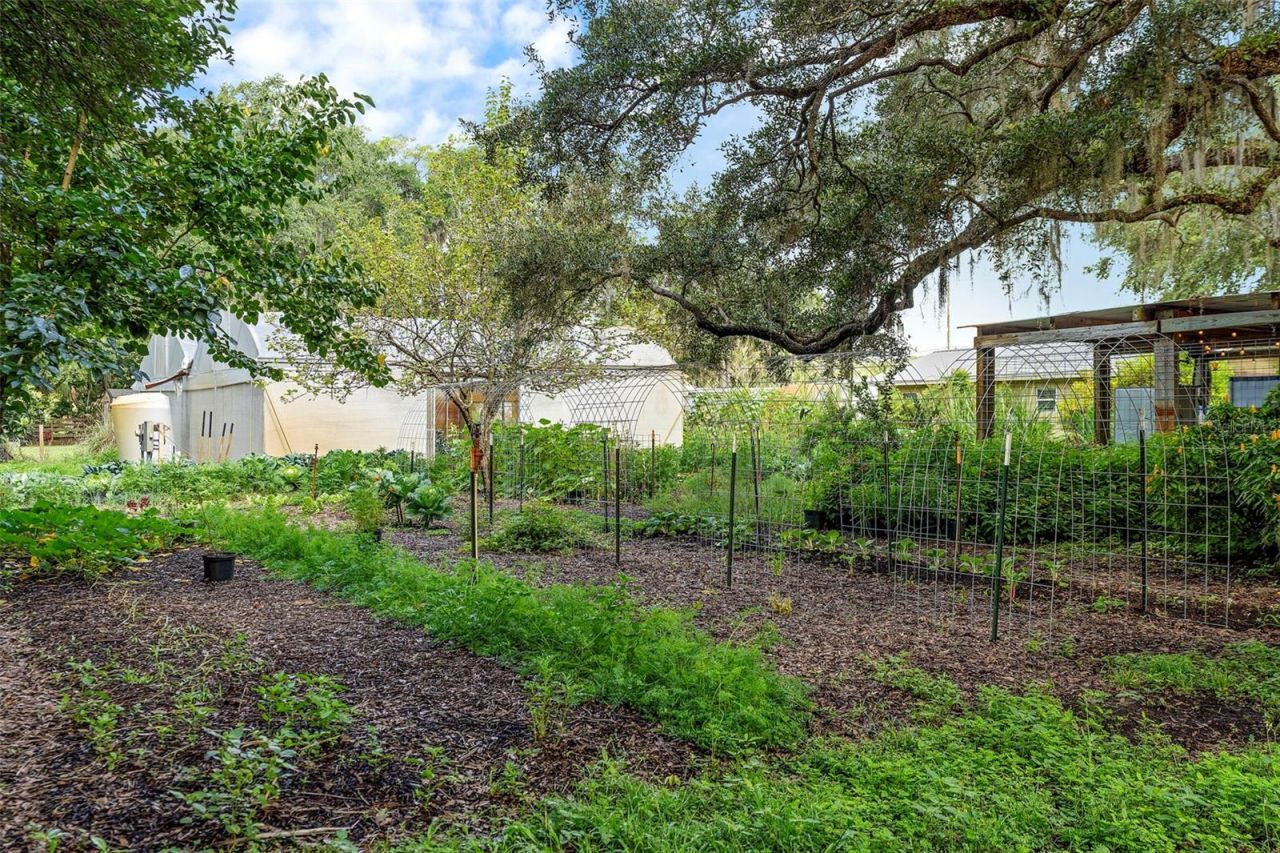 2016 Lewis Road, Leesburg, FL 34748 Photo