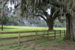 33 Middleton Oaks Road photo 4