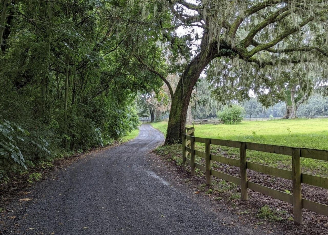 33 Middleton Oaks Road Photo 4