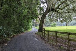 33 Middleton Oaks Road photo 4