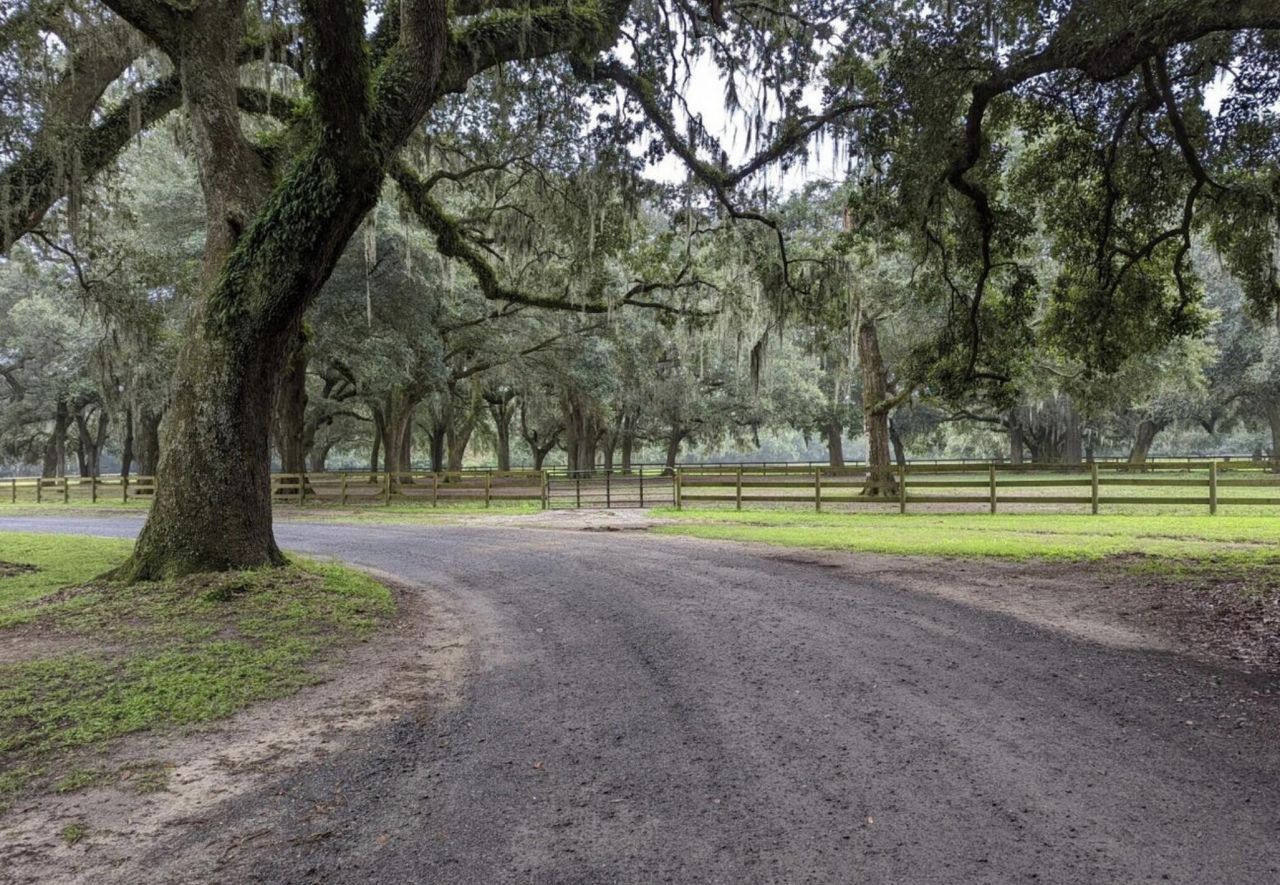 33 Middleton Oaks Road Photo 5