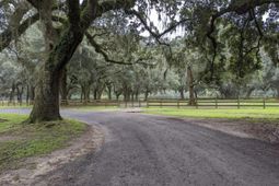 33 Middleton Oaks Road photo 4