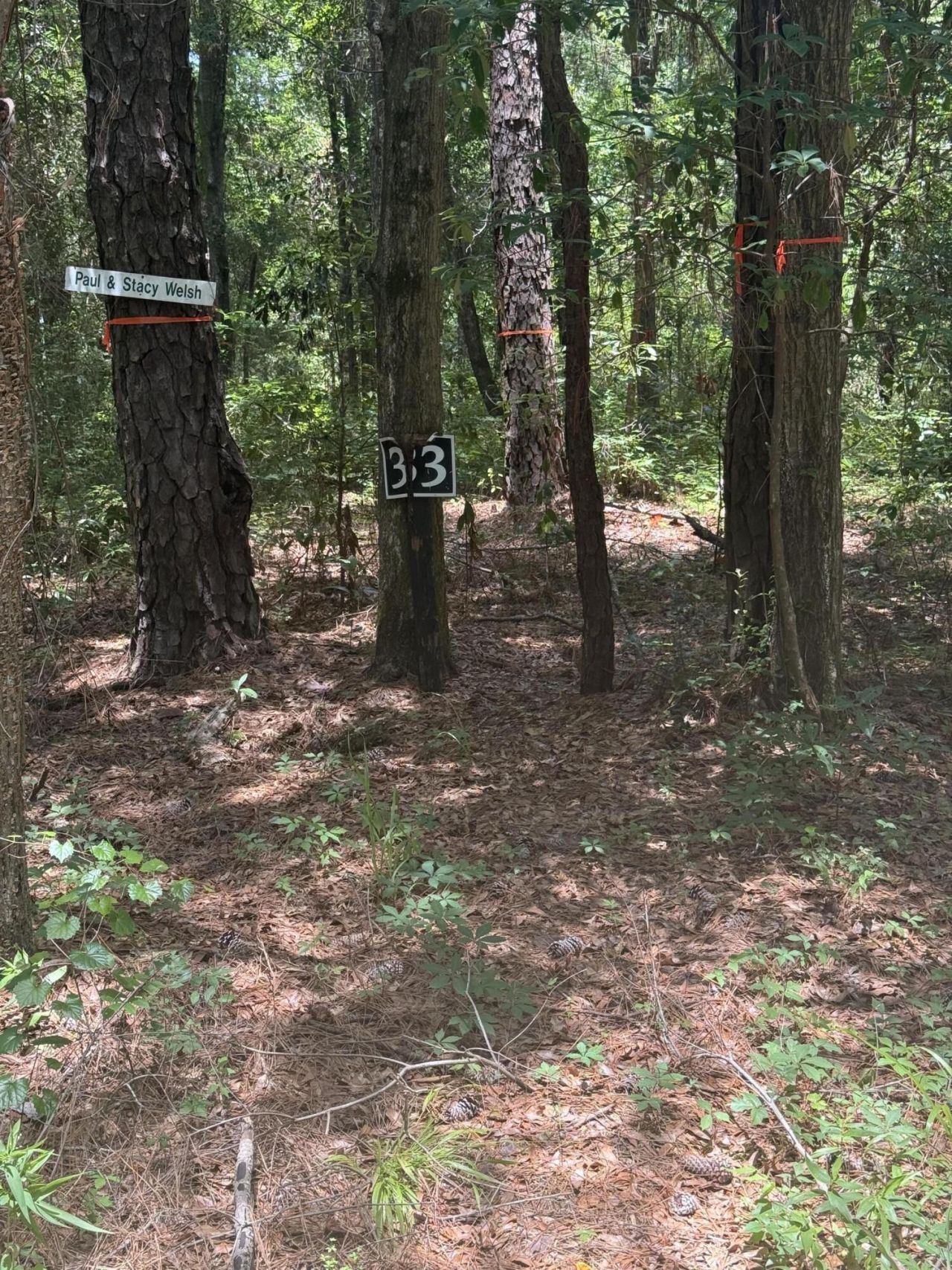 33 Middleton Oaks Road Photo 8