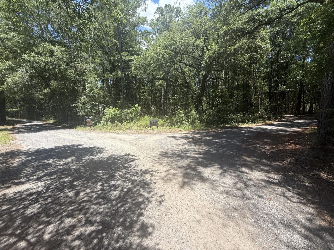 33 Middleton Oaks Road Photo 9