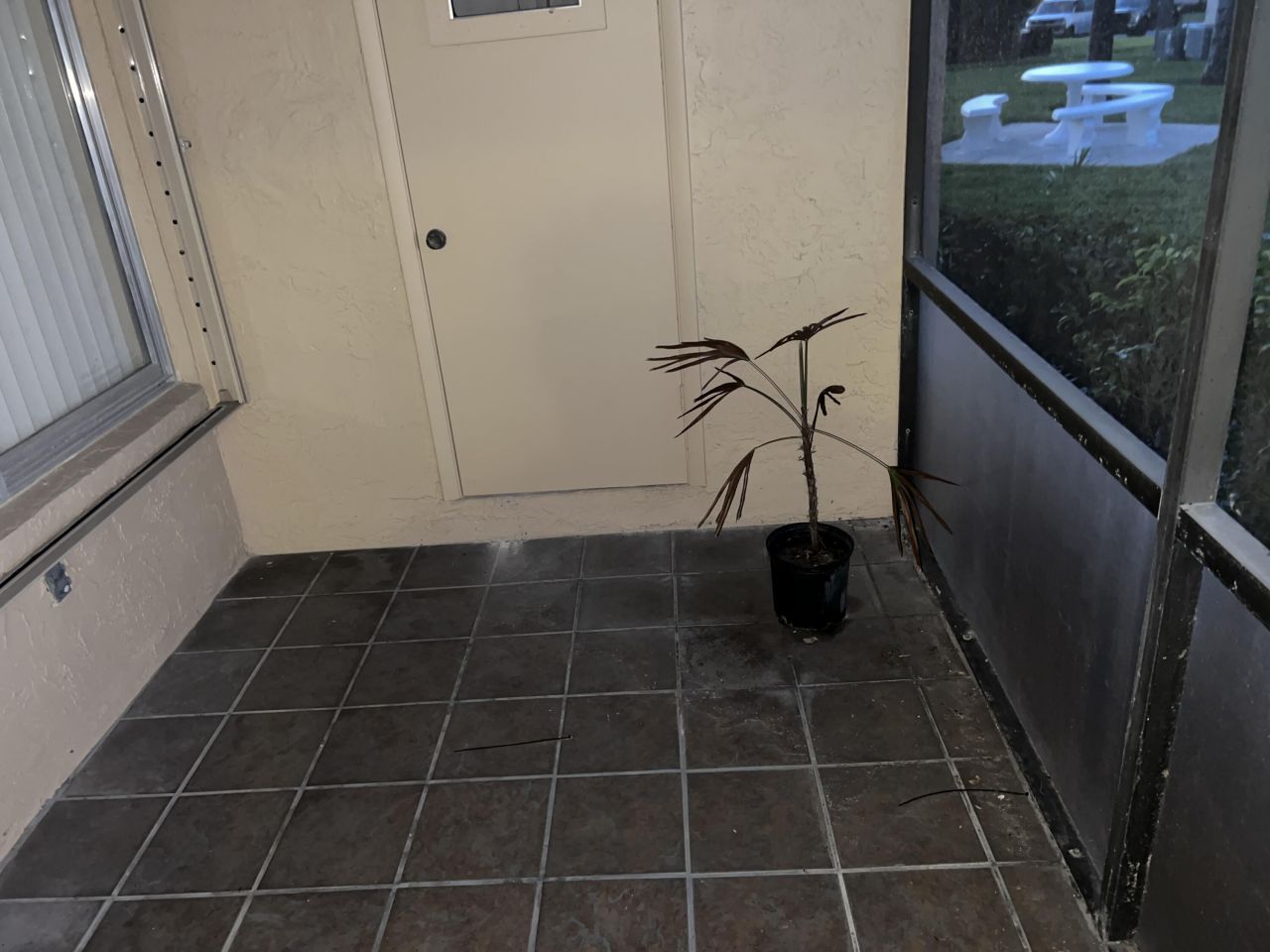 414 Pine Glen Lane, Unit B-1, Greenacres, FL 33463 Photo