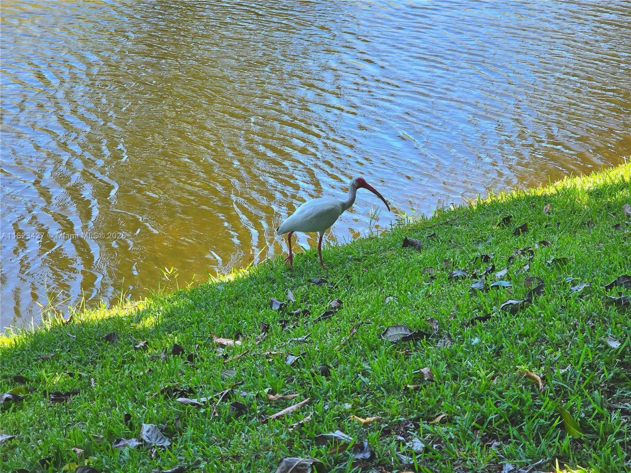 1711 SW 22nd St, Boynton Beach, FL 33426 Photo