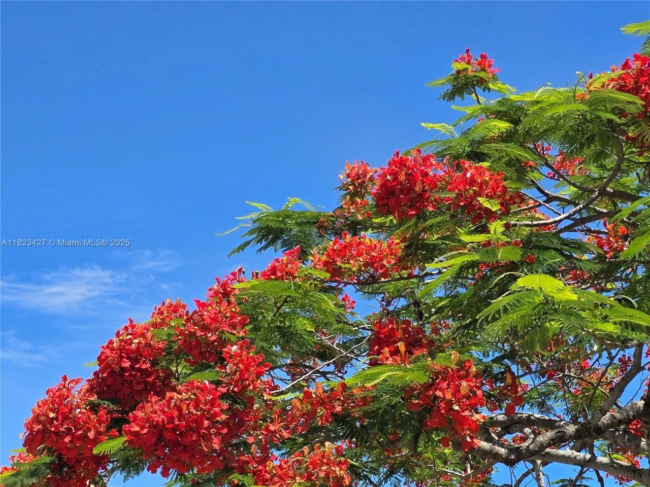 1711 SW 22nd St, Boynton Beach, FL 33426 Photo