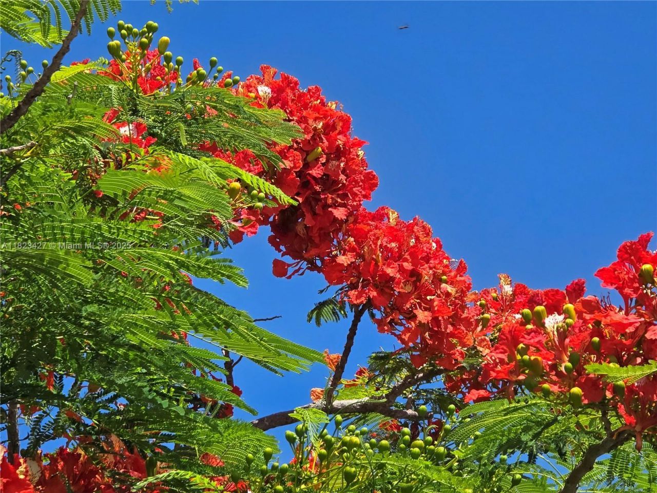 1711 SW 22nd St, Boynton Beach, FL 33426 Photo