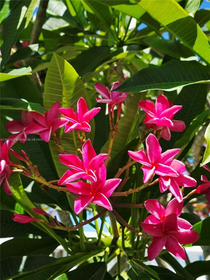 1711 SW 22nd St, Boynton Beach, FL 33426 Photo