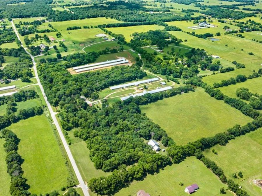 Property Image 8