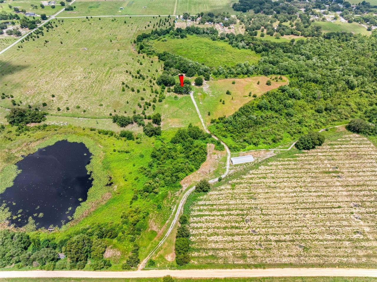 2440 S Wallace Rd, Bartow, FL 33830 Photo