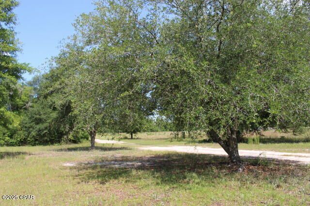 5929 Nichols Road, Bascom, FL 32423 Main Photo