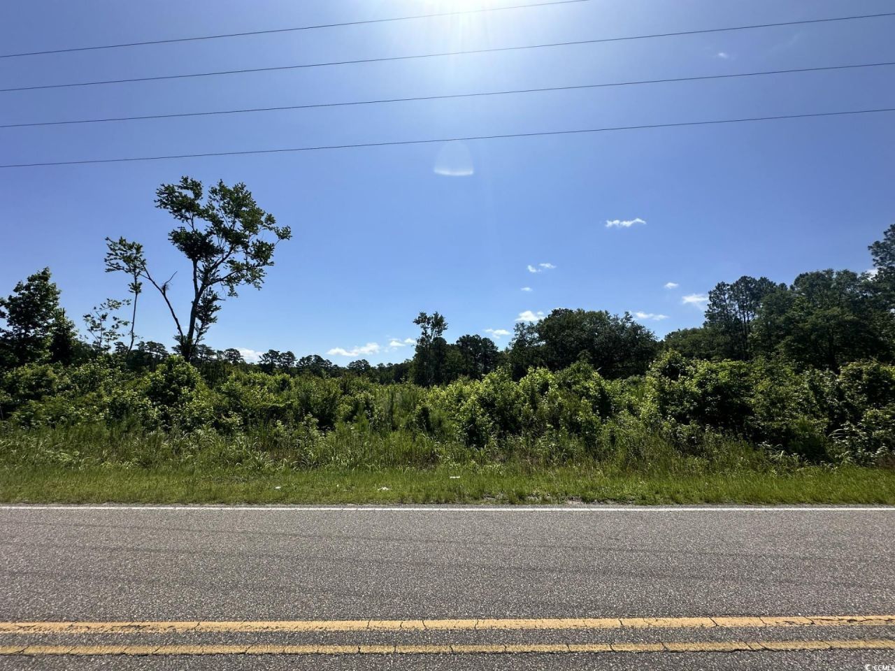 Tbd Pint Circle Photo 18