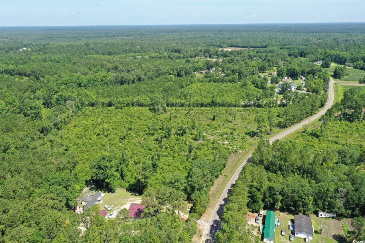 Tbd Pint Circle Photo 5