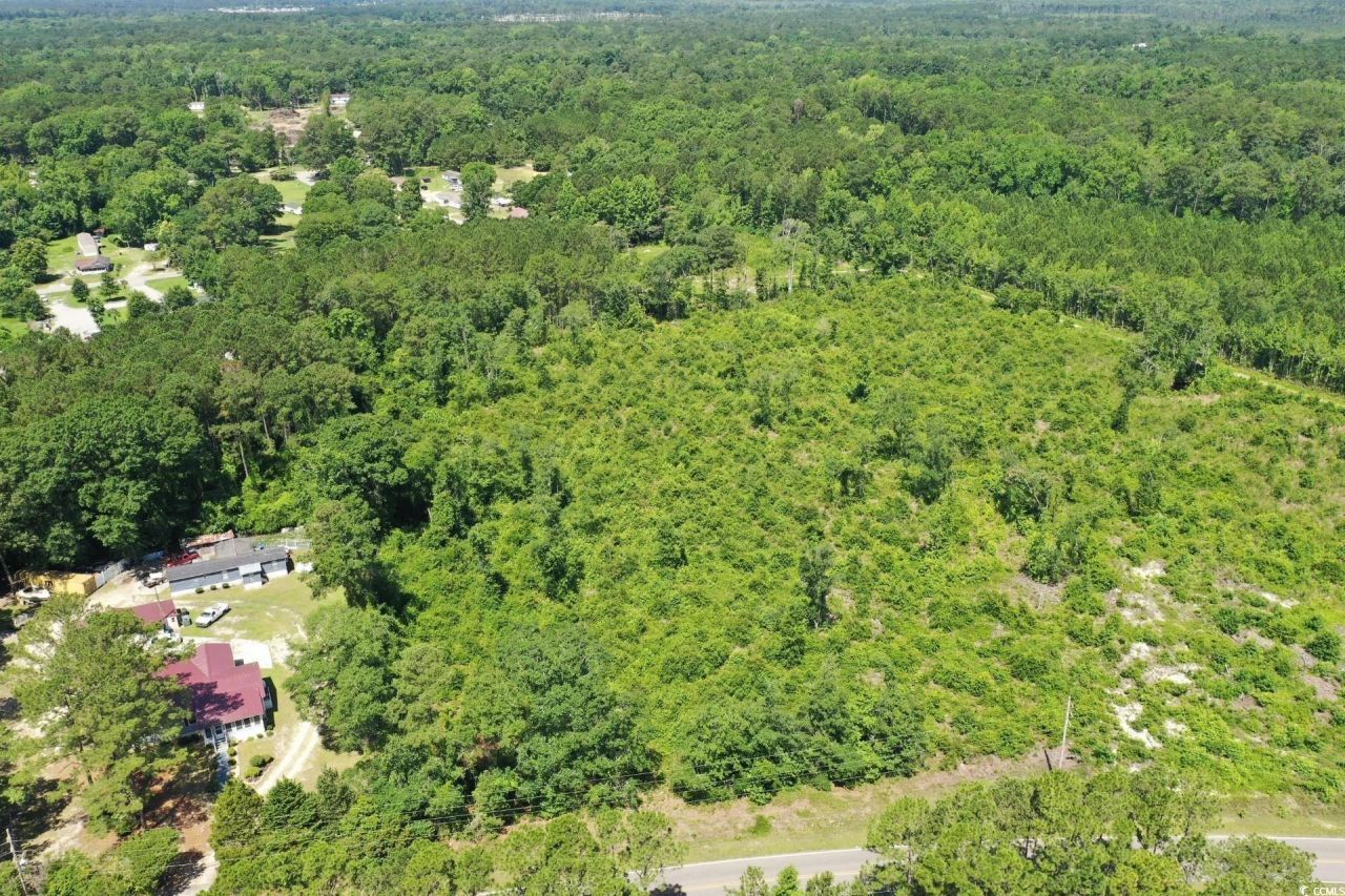 Tbd Pint Circle Photo 7