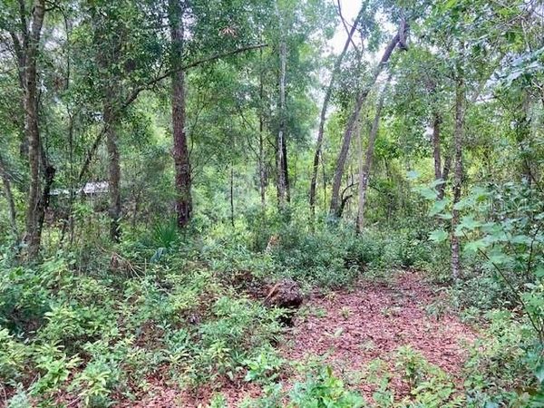 407 RAULERSON ROAD, SEVILLE, FL 32190
