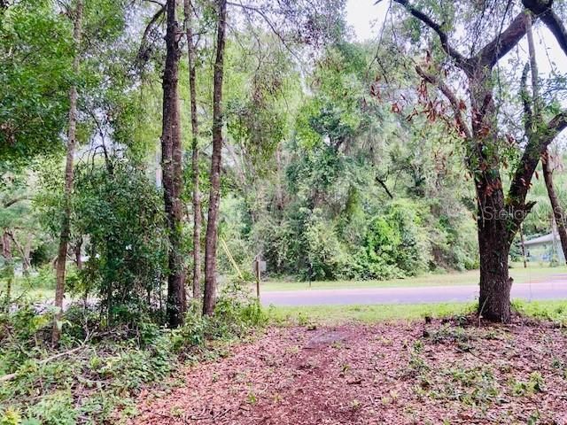 407 Raulerson Road, Seville, FL 32190 Photo