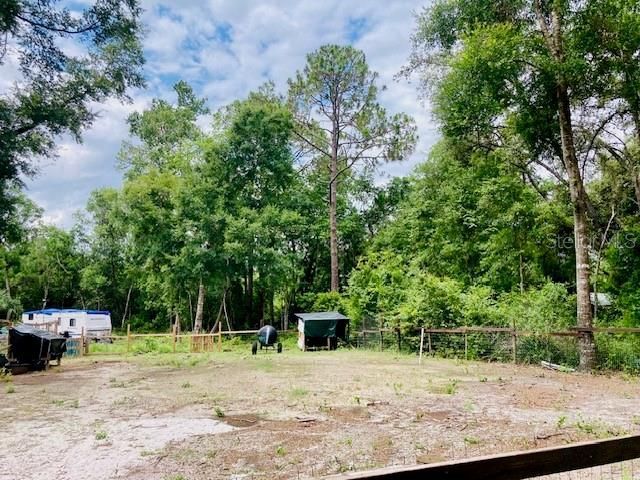 407 Raulerson Road, Seville, FL 32190 Photo