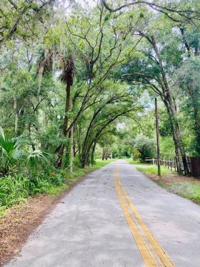 407 Raulerson Road, Seville, FL 32190 Photo
