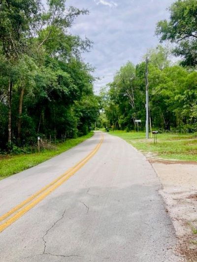 407 Raulerson Road, Seville, FL 32190 Photo