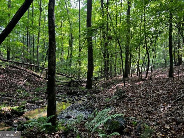 3.52 AC Payne Way, Blairsville, GA 30512