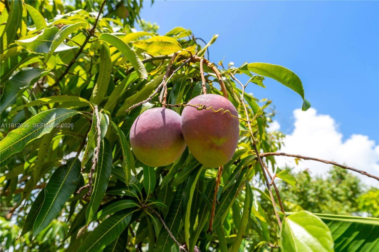 18820 SW 316th St, Homestead, FL 33030 Photo