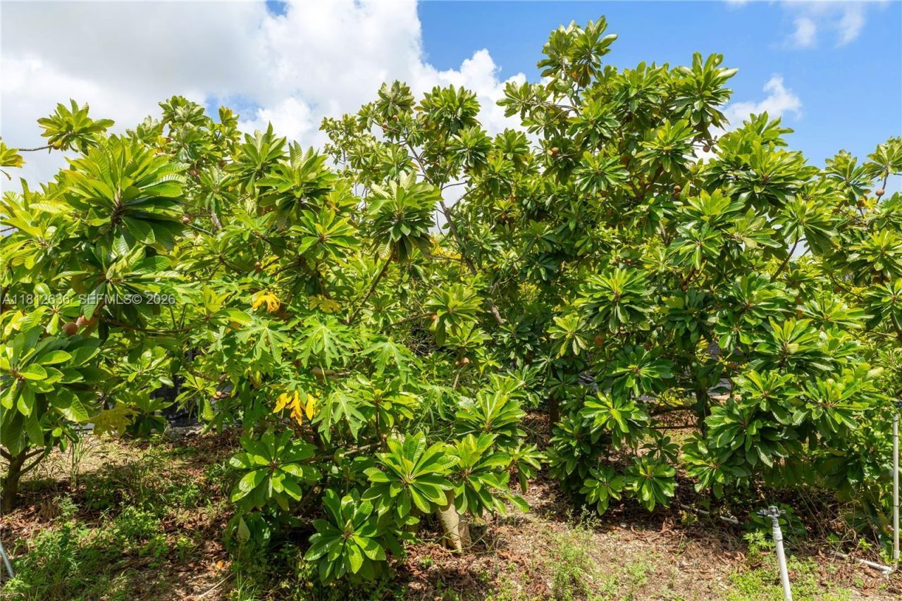 18820 SW 316th St, Homestead, FL 33030 Photo