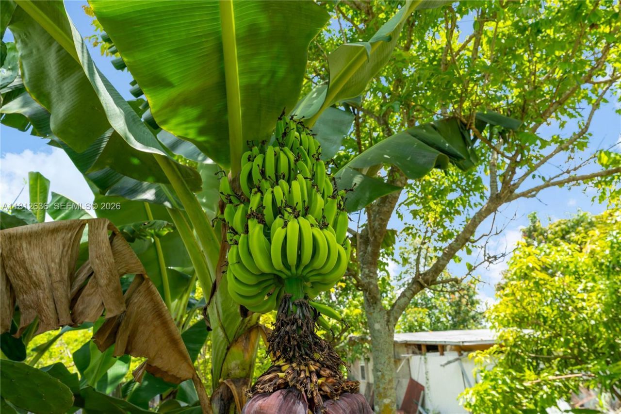 18820 SW 316th St, Homestead, FL 33030 Photo