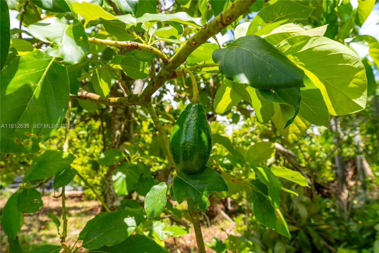 18820 SW 316th St, Homestead, FL 33030 Photo