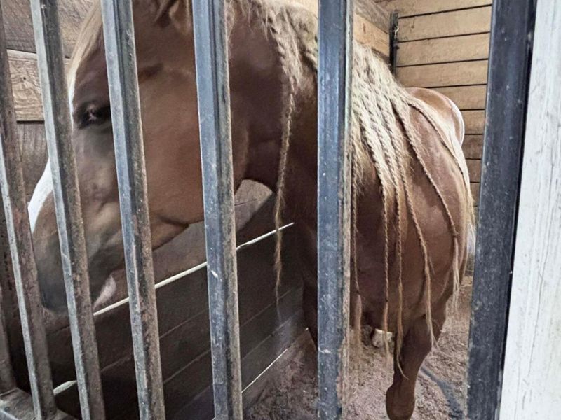 10156 Marysville Road, Ostrander, OH 43061 Photo 101