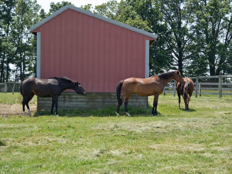 10156 Marysville Road, Ostrander, OH 43061 Photo 107