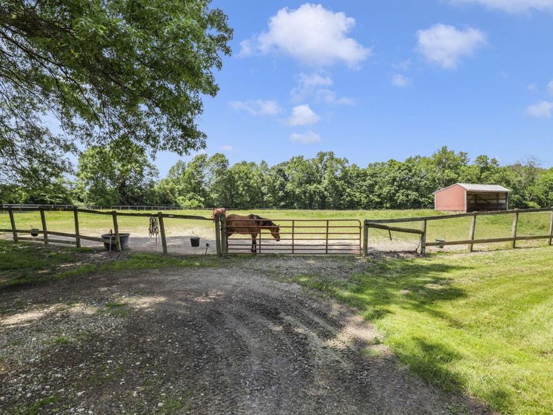 10156 Marysville Road, Ostrander, OH 43061 Photo 44