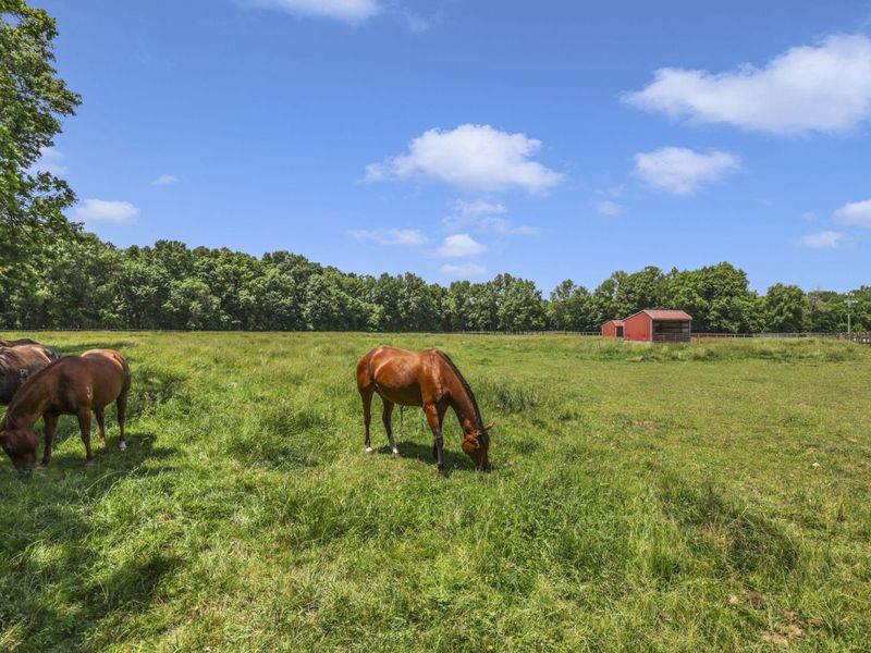 10156 Marysville Road, Ostrander, OH 43061 Photo 45