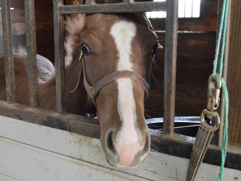 10156 Marysville Road, Ostrander, OH 43061 Photo 48