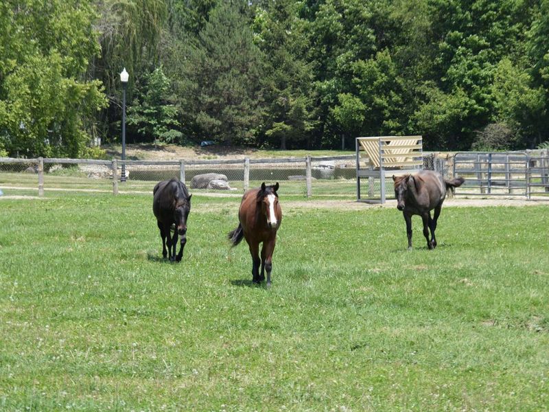 10156 Marysville Road, Ostrander, OH 43061 Photo 53