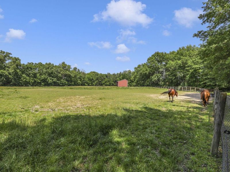 10156 Marysville Road, Ostrander, OH 43061 Photo 67