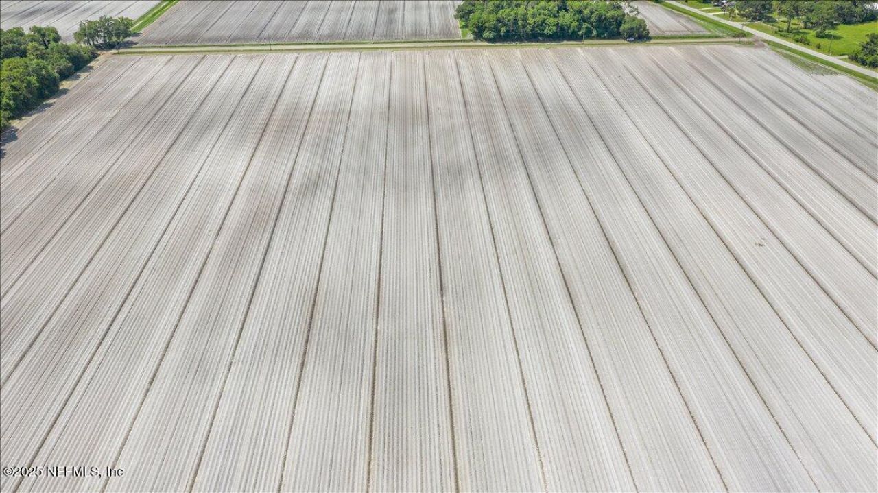 233 E River Road, East Palatka, FL 32131 Photo