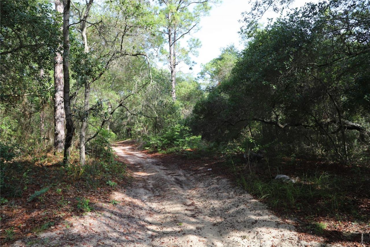 00 State Road 100, Keystone Heights, FL 32656 Photo