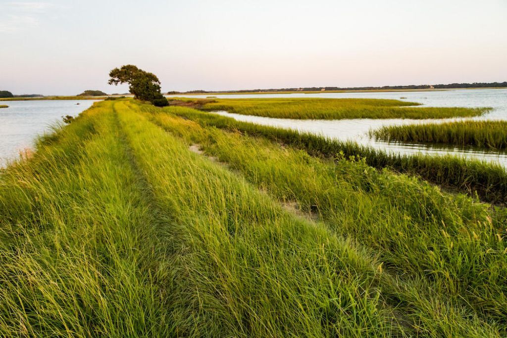 7024 Sounding Lane Photo 17