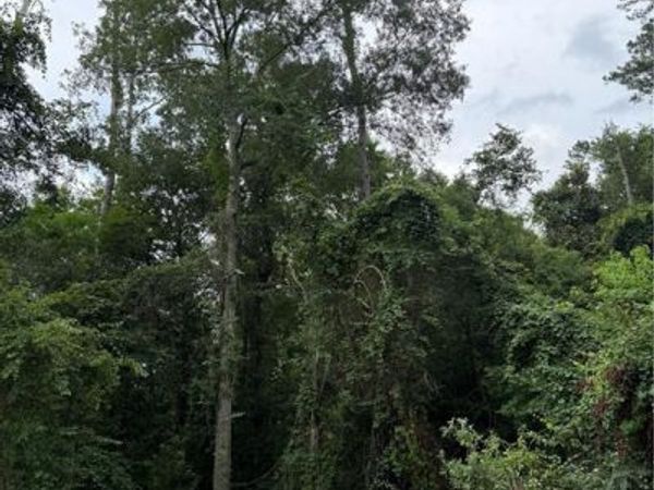 Lot 5-A E PLEASANT RIDGE Road, Hammond, LA 70403