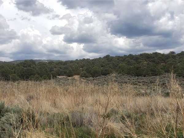 Lot 1505 Juarez & Dunn Road, San Luis, CO 81152