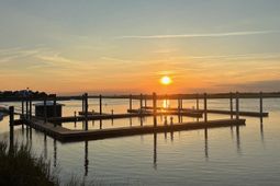 101 Palm Boulevard photo 4