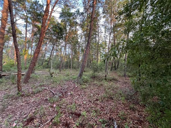 TBD TWIN LAKES ROAD, INTERLACHEN, FL 32148