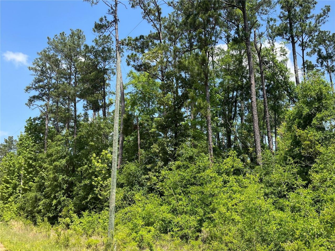 Tbd Grand Quiviera Circle, Alford, FL 32420 Photo