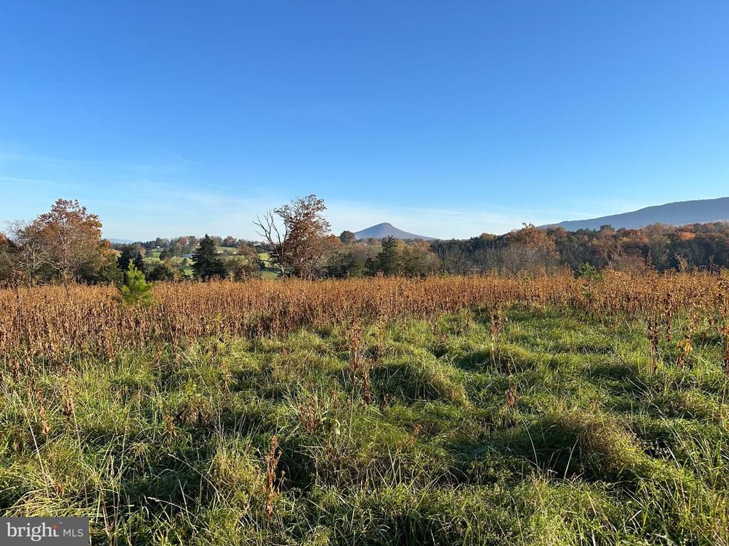 70 AC SMITH CREEK ROAD, NEW MARKET, VA 22844